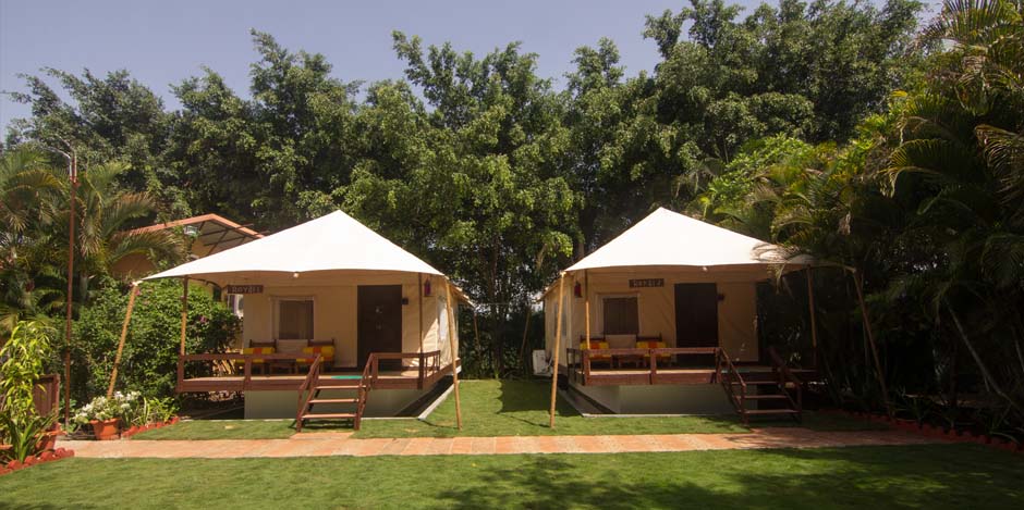 best tents near wai