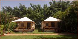 best tents near mahabaleshwar